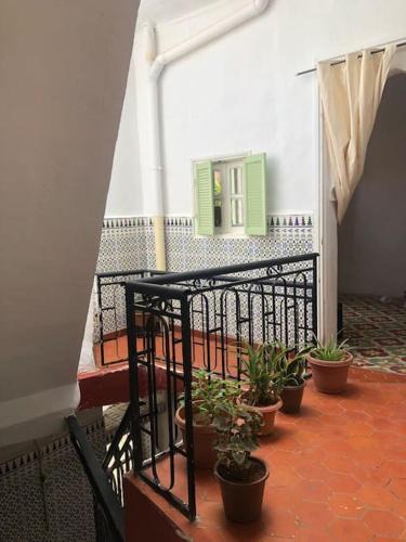 Tlemcen House | La maison des oiseaux