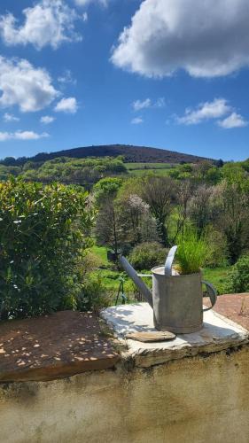 Cassagnoles House | La Maison du chataignier