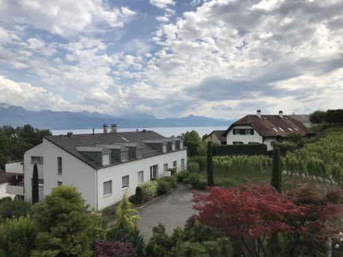 Lutry Apartment | La maison du lac