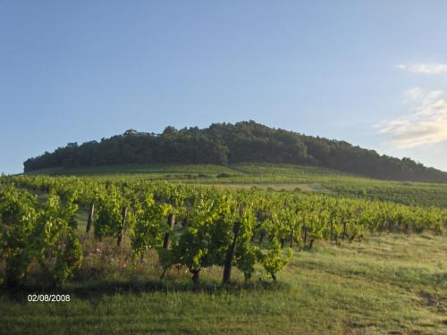 Ternand House | La maison du vigneron