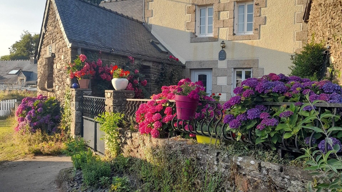 Perret House | LA Maison DE Perret