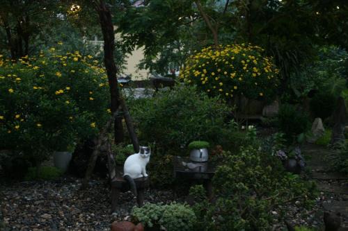 Sa Pa House | La Maison SAPA - Bungalows