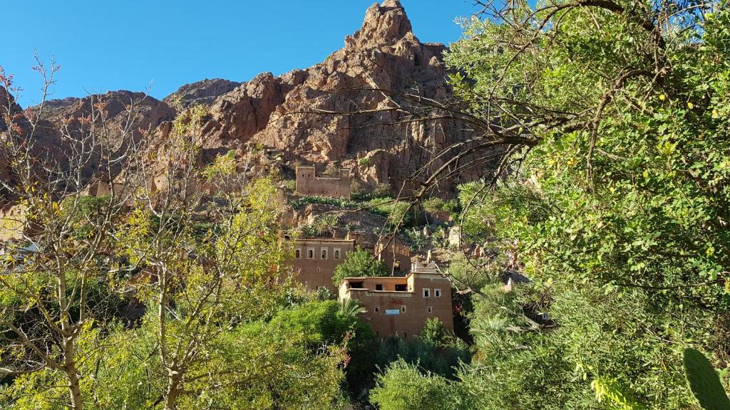 Ammelne House | La Maison Traditionnelle Hôtel et guesthouse