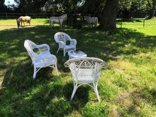 Orsennes Bed & Breakfast | La Marquise Penchée