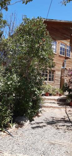 Olmue House | La Milagrera Olmué