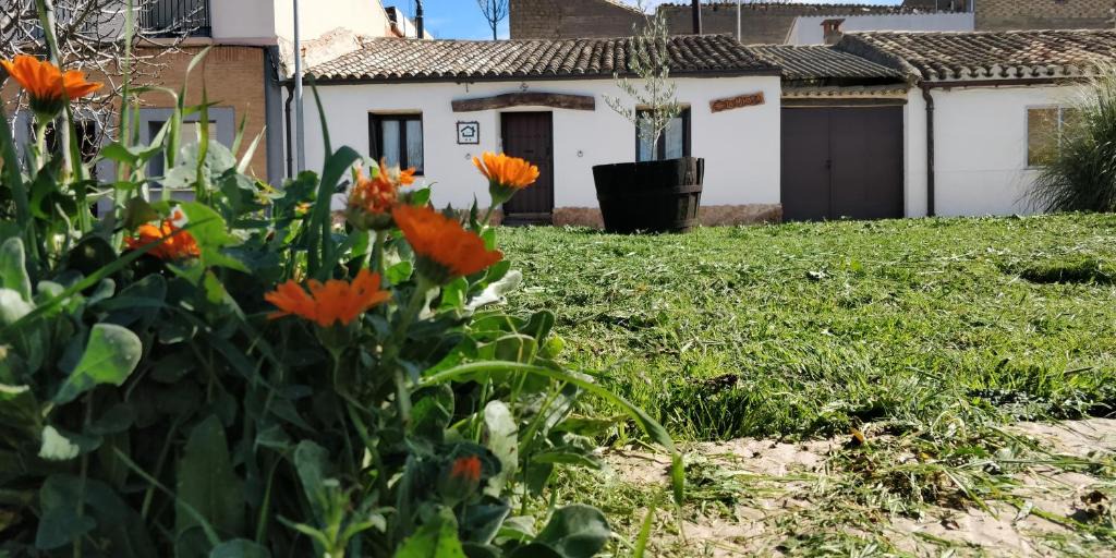 Carcastillo House | La mimosa
