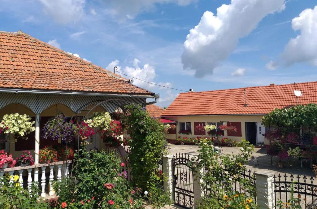 Malaiesti House | La Mosu-n Retezat