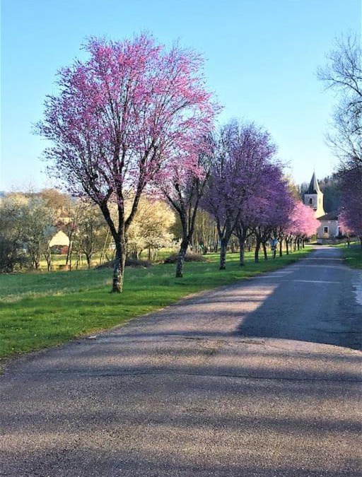Goussaincourt House | La MUSARDIERE Gîte paisible à la campagne