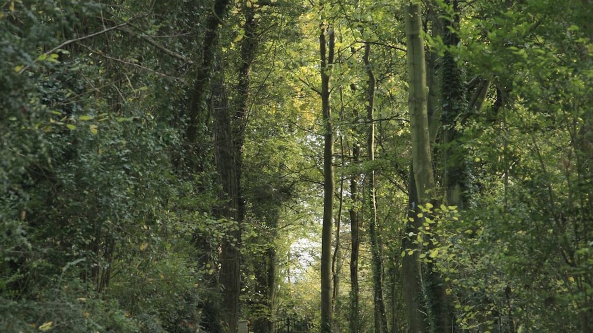 Fatouville-Grestain Cottage | LA NORMANDE - cottage ALL COMFORT, FULL NATURE, and NEAR THE SEA