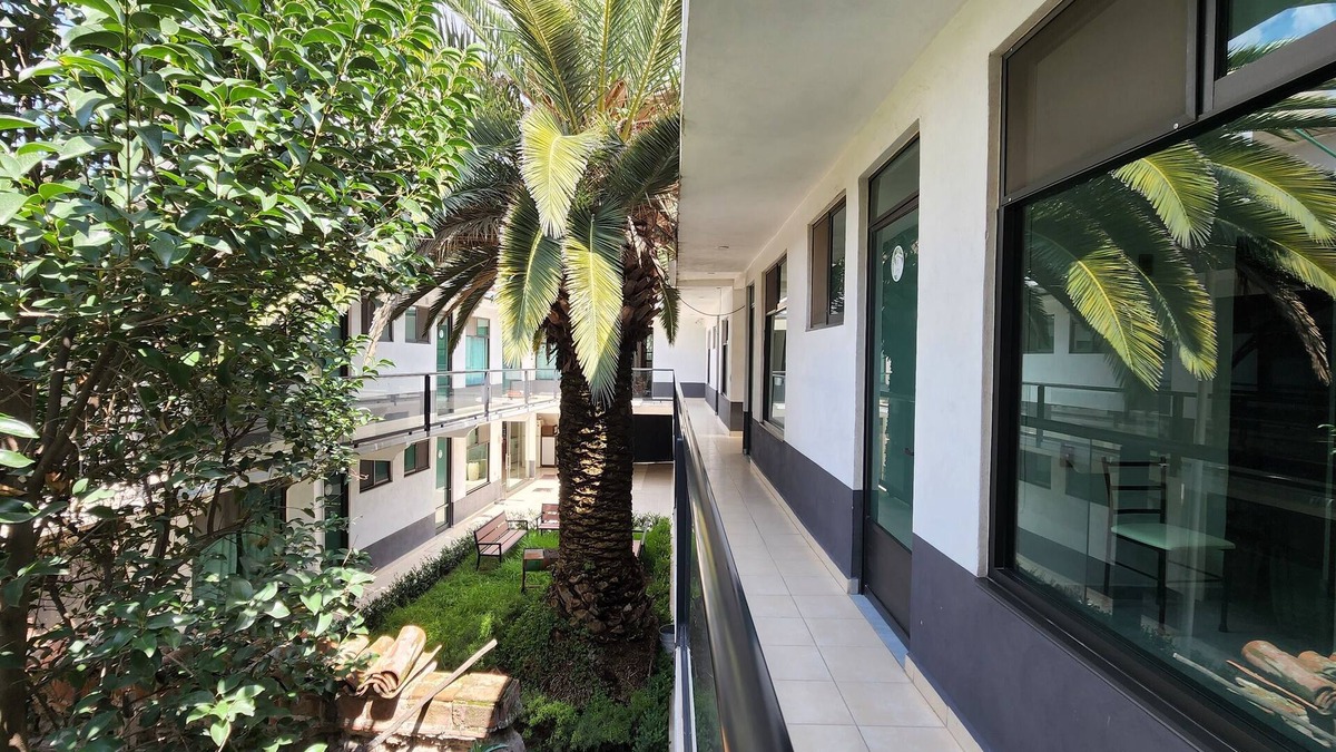 Tecamac House | La Palma Co-living