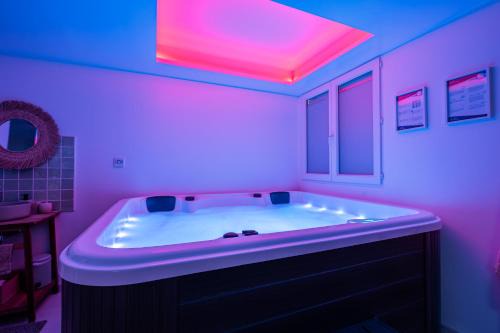 Sainte-Gemmes-sur-Loire Apartment | La Parenthèse Gemmoise avec jacuzzi privatif