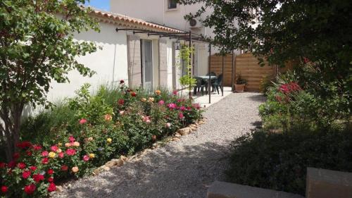 Fontvieille Apartment | La Pauseto