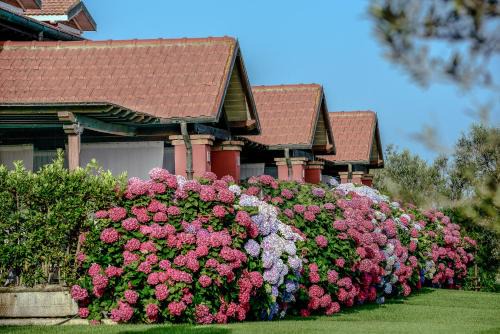 Marina di Montalto Apartment | La Pecora Ladra Appartamenti