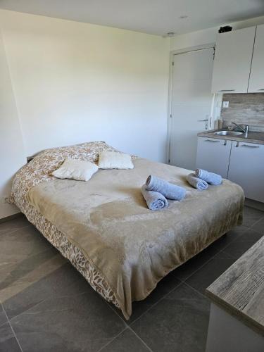 Quesques Apartment | La petite bulle d'Aurel