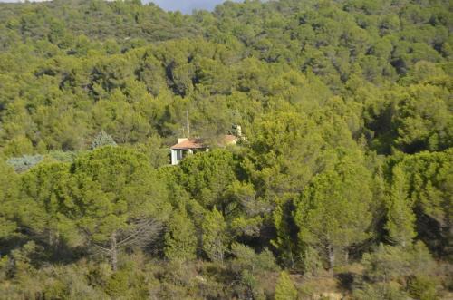 Cesseras House | La petite Cigale
