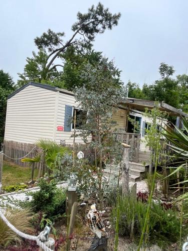 Camiers Other | La Pinède Ensoleillée au Camping La Dune Blanche