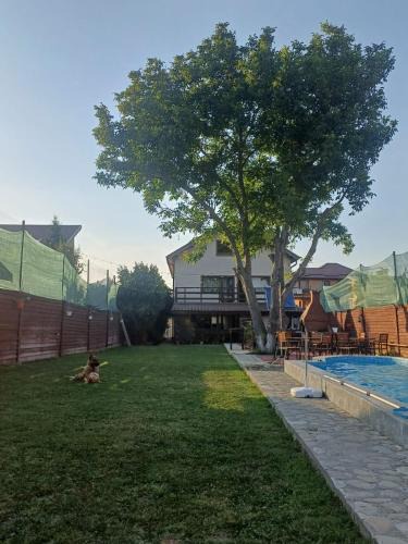 Balotesti Apartment | La Plantă-Therme Airport Bucharest