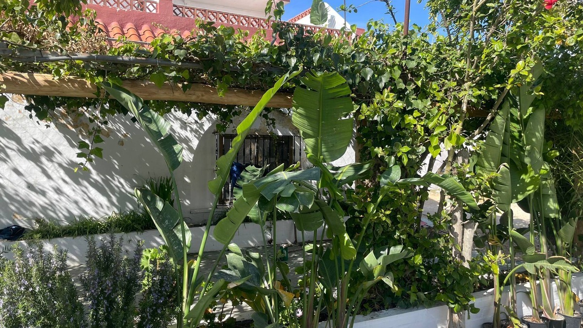 Los Canos de Meca Bed & Breakfast | La Posada de Trafalgar