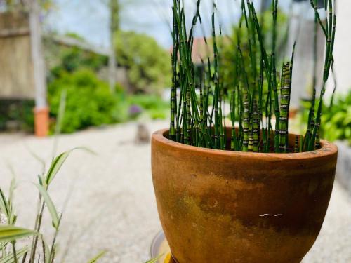 Carresse-Cassaber Bed & Breakfast | La Poterie