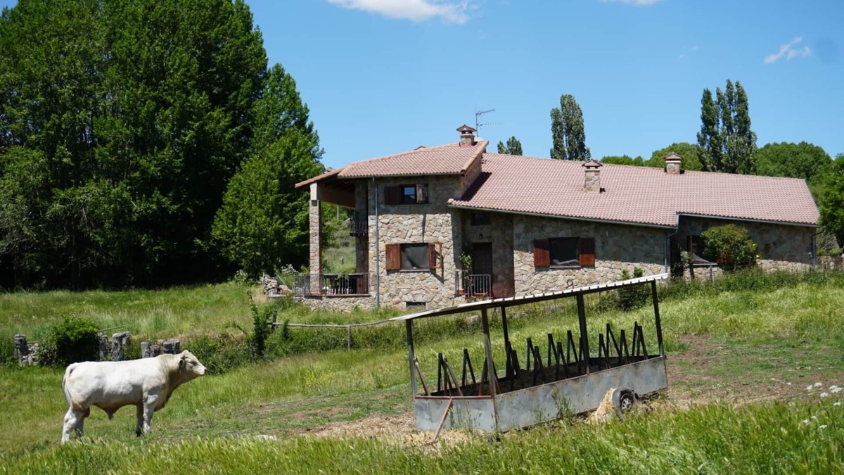 San Martin del Pimpollar Ski Chalet | La Puerta de Gredos Rural House