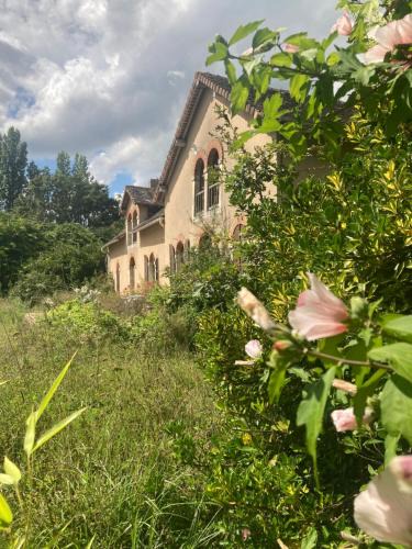 Courcival House | La Résidence Sycomore
