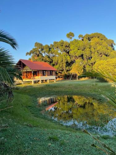 La Paloma House | La Ranita Negra