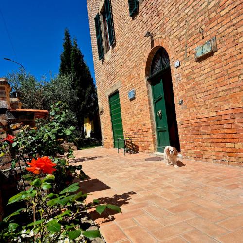 Palazzone Apartment | La Rosa Rossa