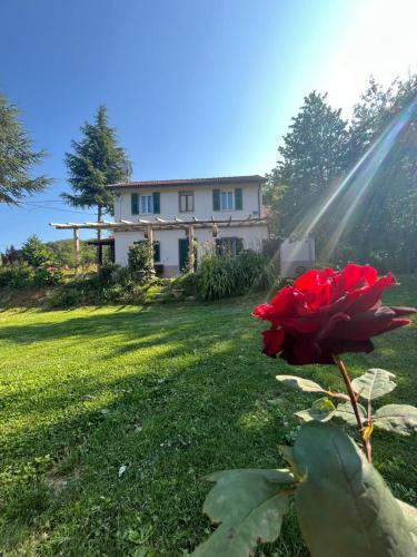 Osiglia House | La rosa sul lago