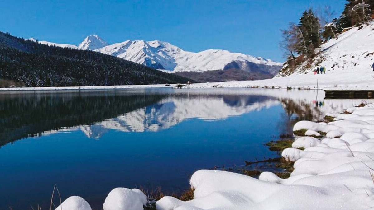 Bagneres-de-Bigorre Apartment | LA Roseraie à 2 mn à Pied des Thermes Spa Aquensis, Casino, au Pied des Pyrénées