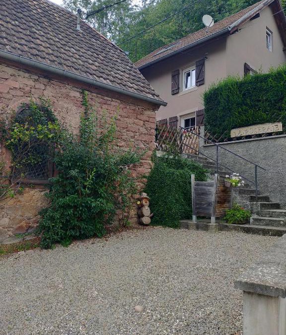 Freland House | la roseraie