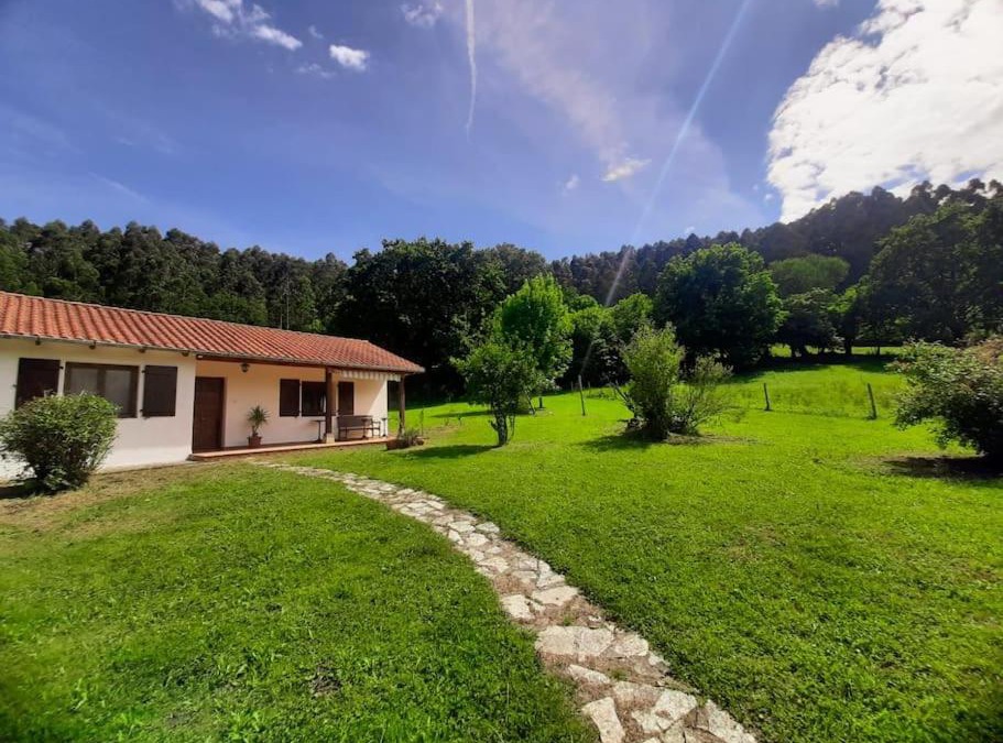 Solorzano House | La Rotiza