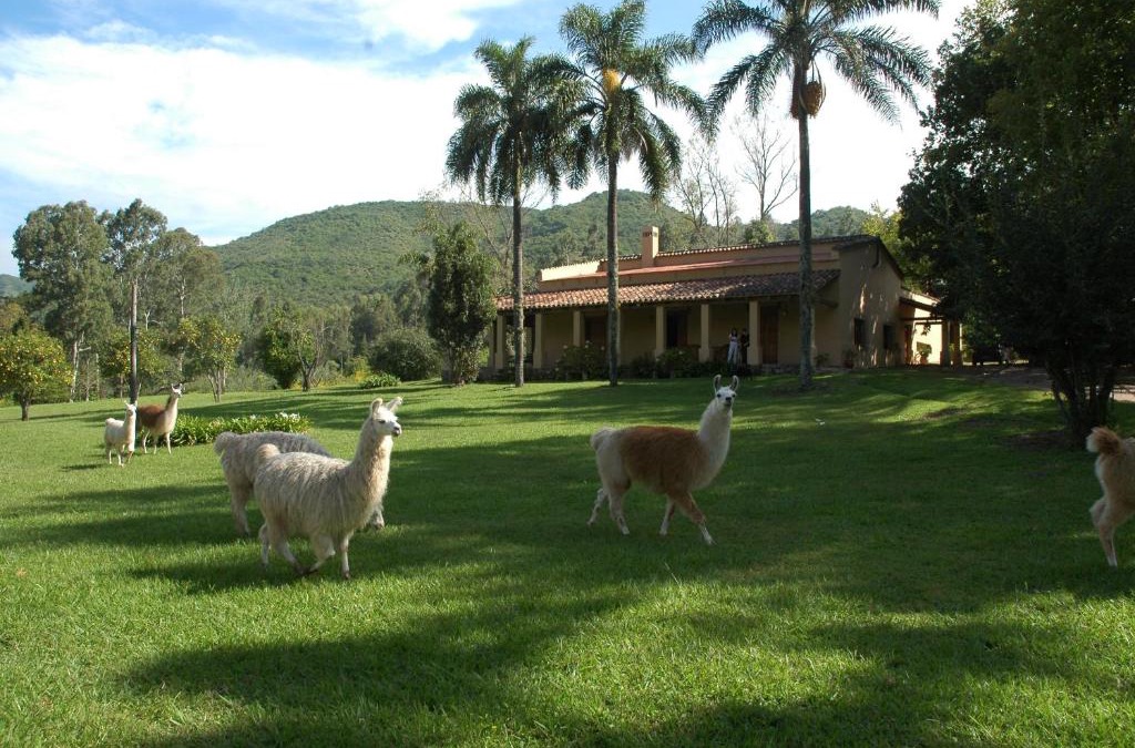 Yala House | La Sala