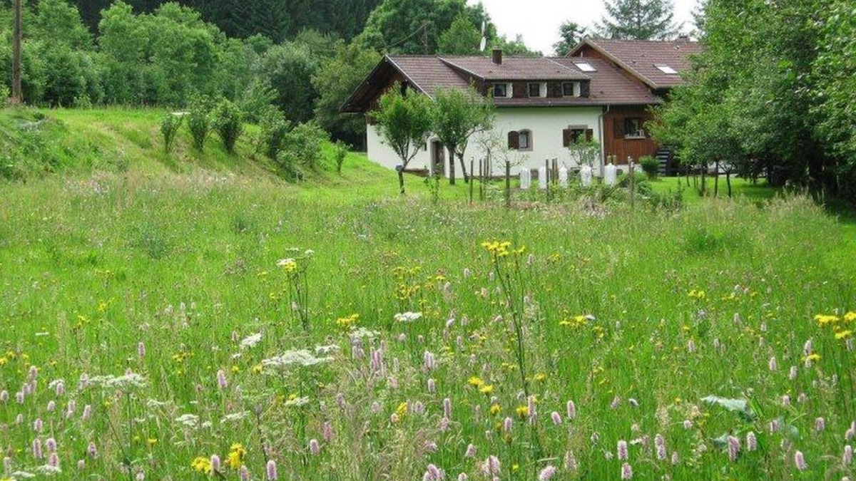 Lubine House | La Scierie