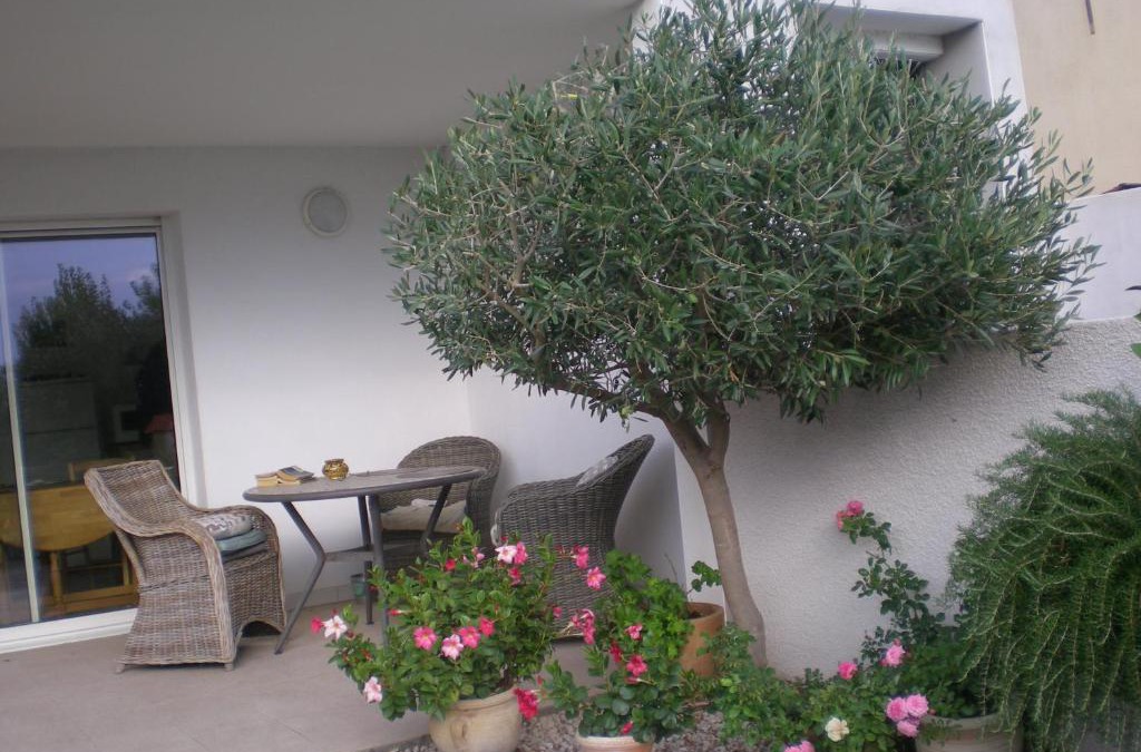 Marseillan Apartment | la scribote
