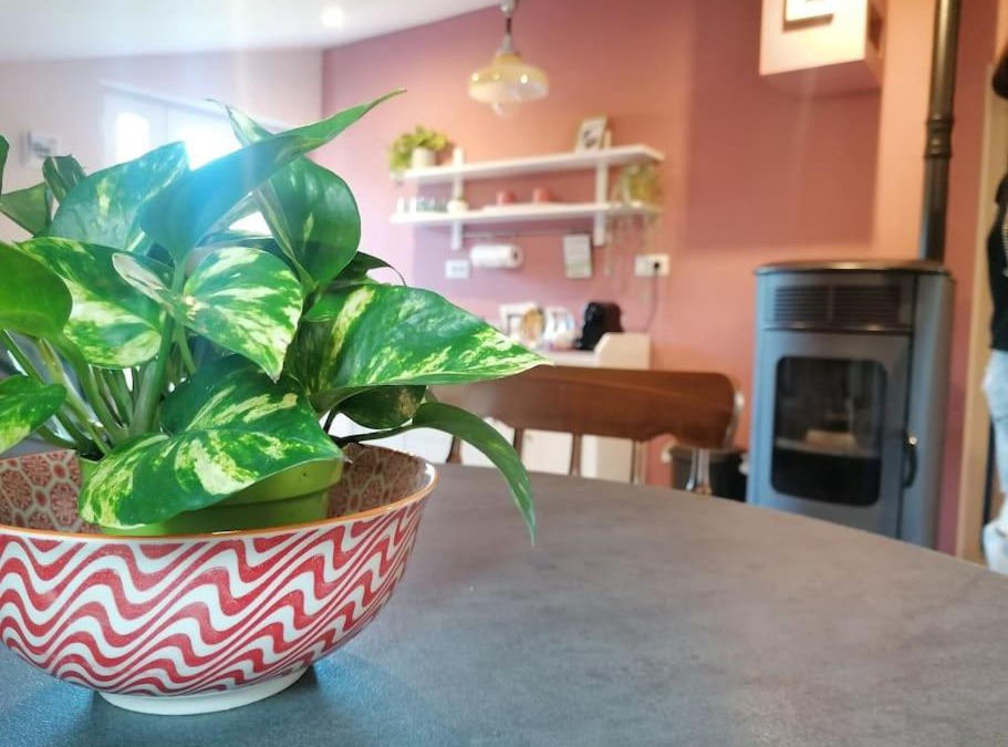 Bedonia House | La soffitta di Anita