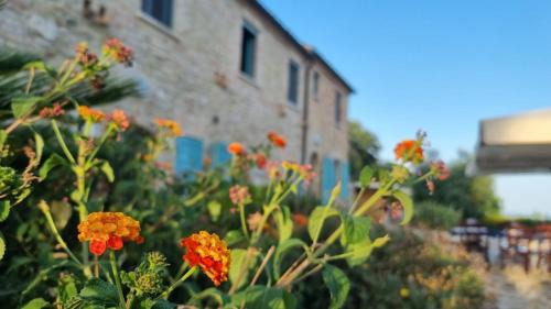 Massignano Bed & Breakfast | La Sorgente Country House
