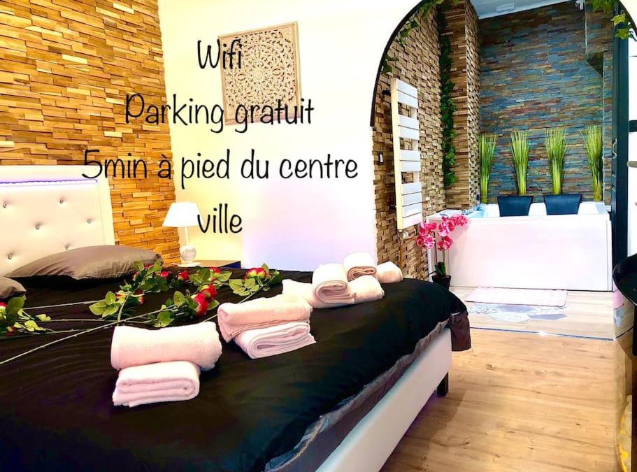 Sens Apartment | La suite romantique Jacuzzi,parking gratuit,centre