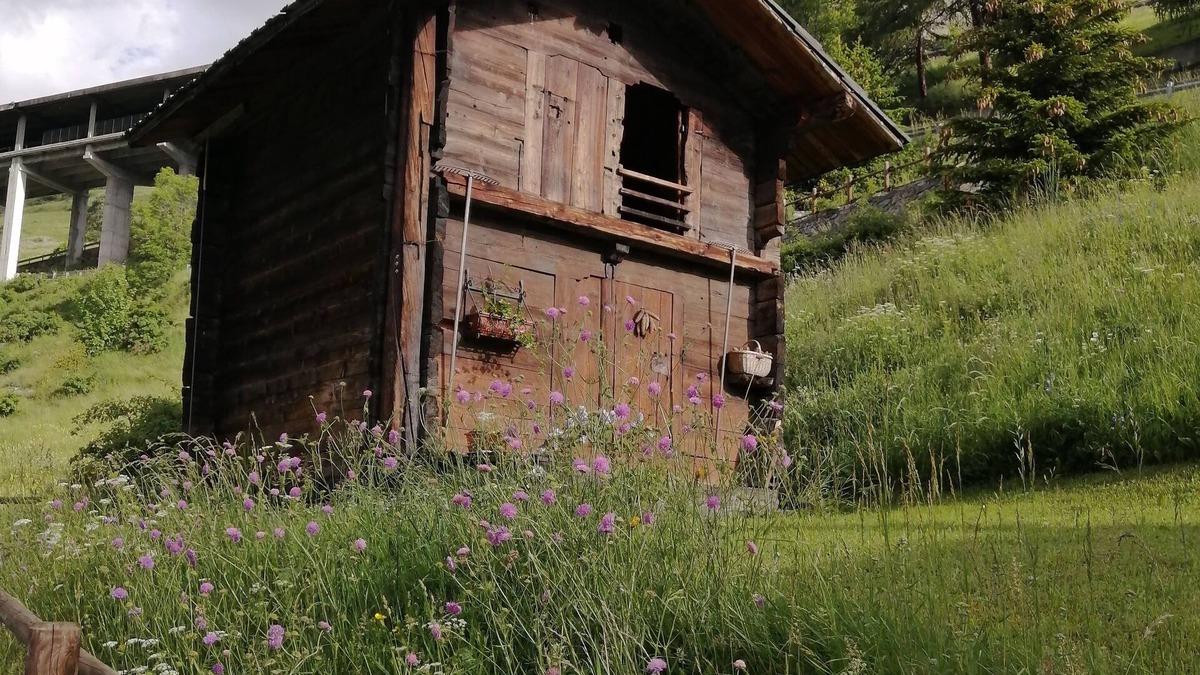 Saint-Rhemy-en-Bosses Bed & Breakfast | La Thuillettaz B&B Maisons de Montagne