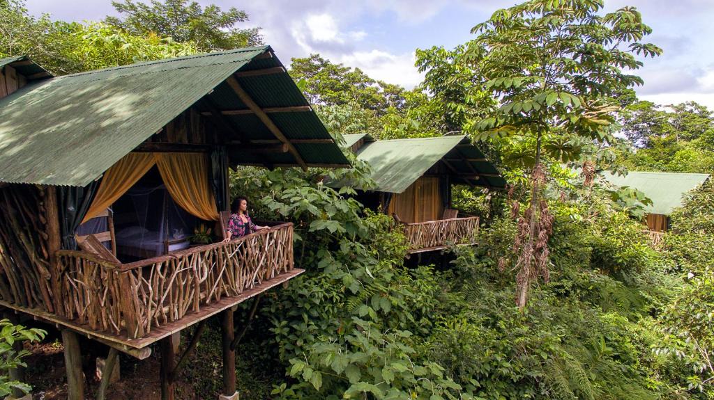 La Tigra Cabin | La Tigra Rainforest Lodge