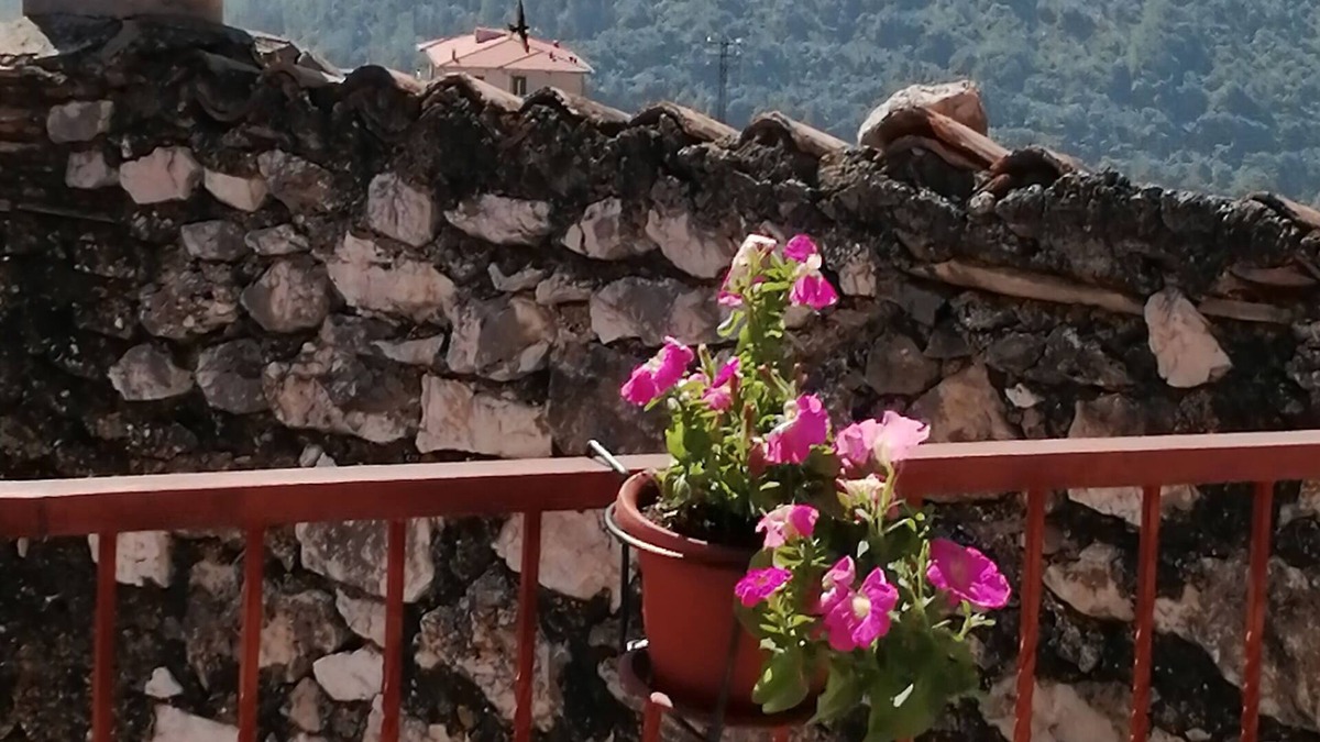 Norma House | La Torre tourist accommodation