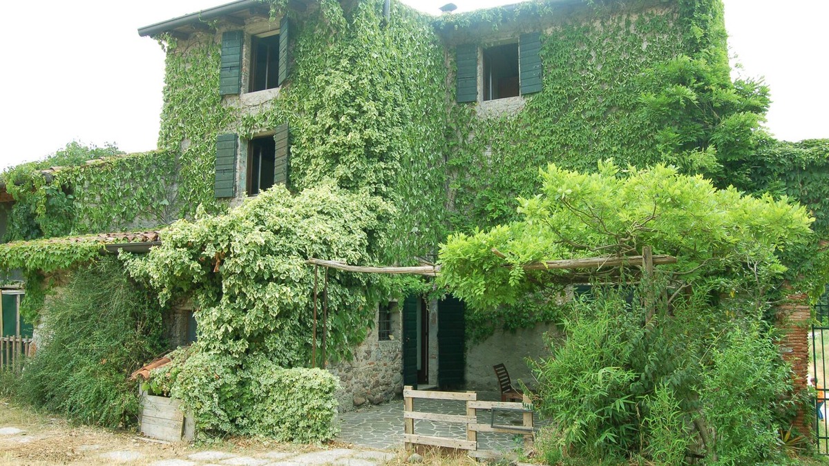 Valeggio sul Mincio House | La Torretta: near Peschiera del Garda, surrounded by greenery, quiet