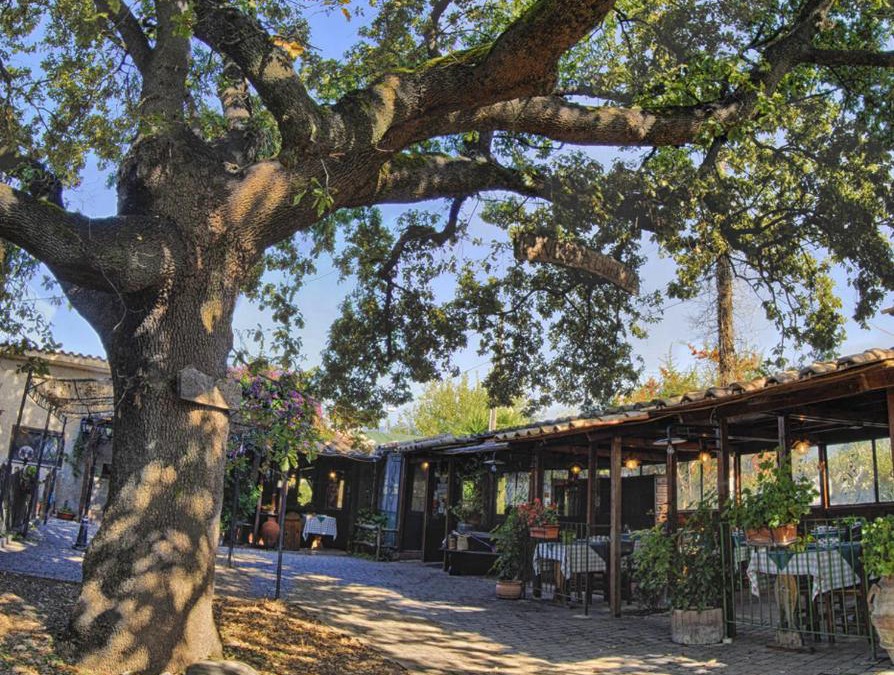 Selci Bed & Breakfast | La Vecchia Quercia