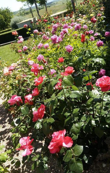 Villelongue-d'Aude Bed & Breakfast | La Vigneronne