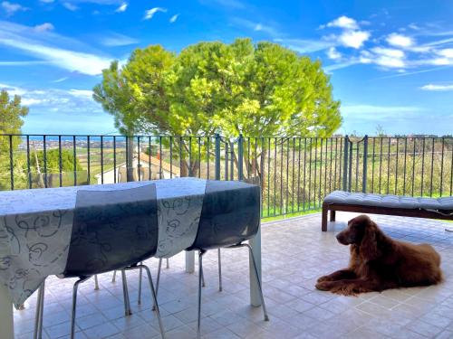 Patrignano Apartment | La vista sul mare