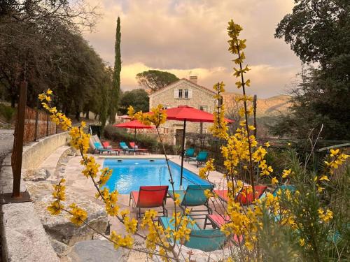 Nyons Bed & Breakfast | La Viste - SPA-JACUZZI - MASSAGE- SAUNA - 4 SAISONS - Piscine Chauffée Toute l'année - Heated POOL - 800m City Centre