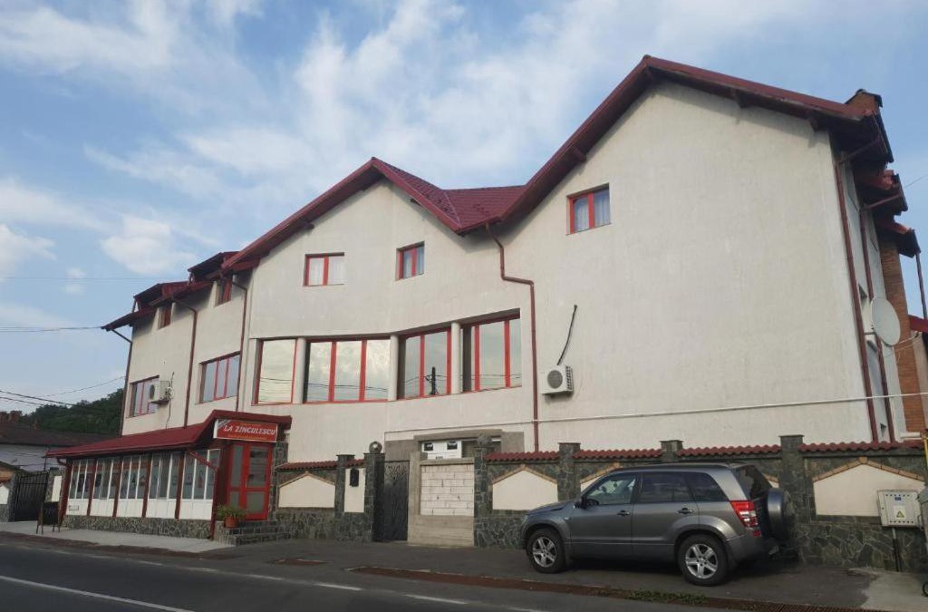 Albestii Paminteni House | La Zinculescu