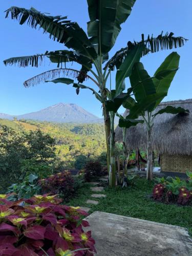 Lombok House | Laa Cabana Lombok Glamping