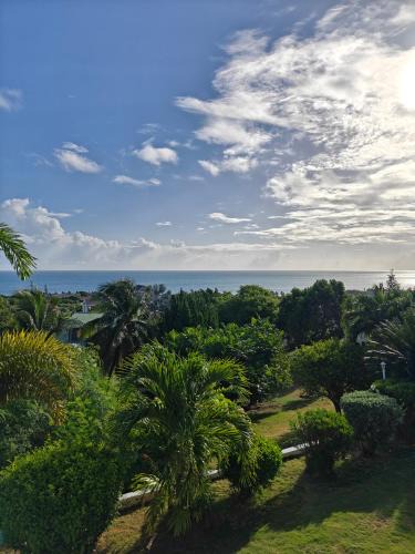 Cedar Grove House | LaBelleVue Antigua Oceanview Suites and OnSite Car Rentals