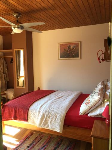 Doussard House | Lac d'Annecy