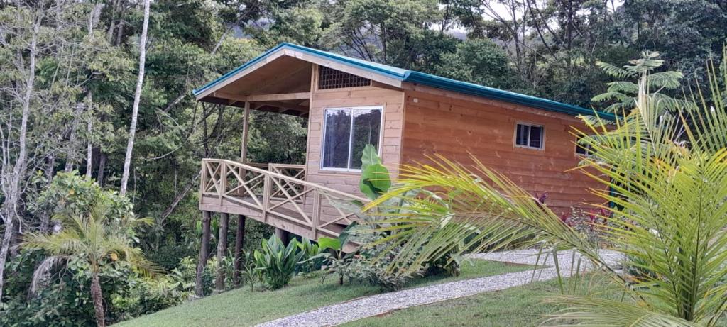 Ballena House | Lado Natura